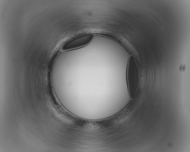 X0000111170207200907011016