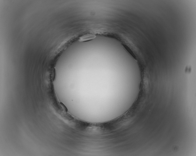 X0000111170211200907011016