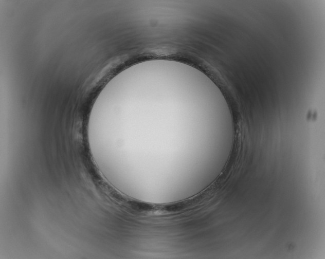 X0000111170212200907011016