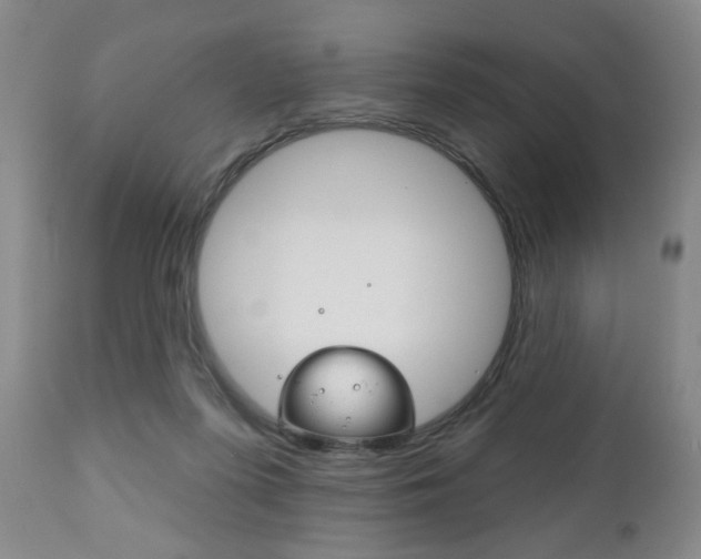 X0000111170215200907011016