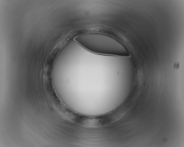 X0000111170217200907011016