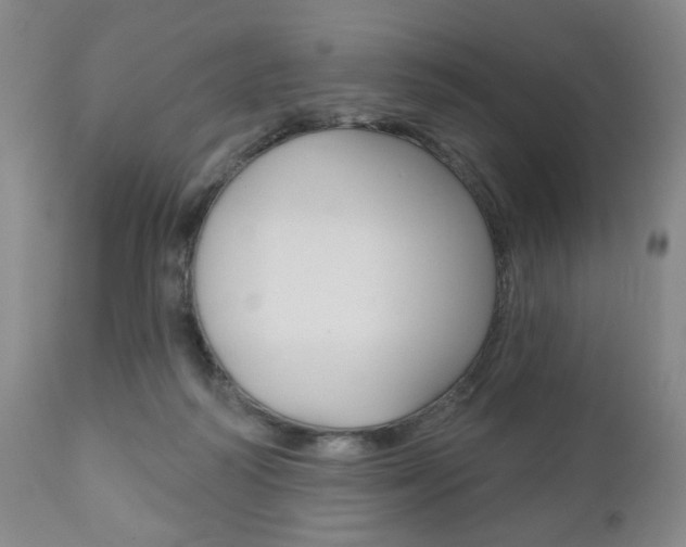 X0000111170218200907011016