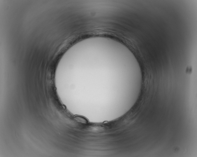 X0000111170220200907011016