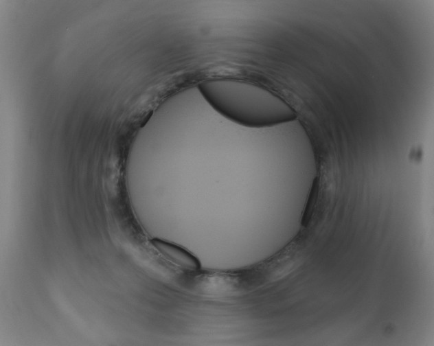 X0000111170223200907011016