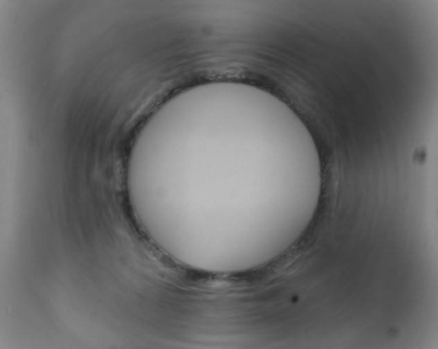 X0000111170224200907011016