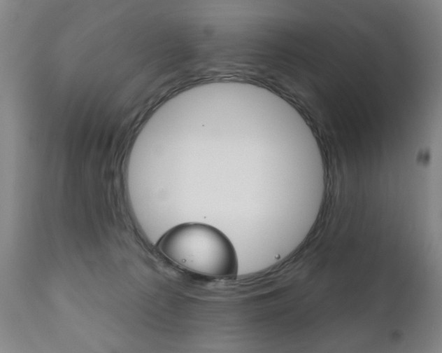 X0000111170225200907011016