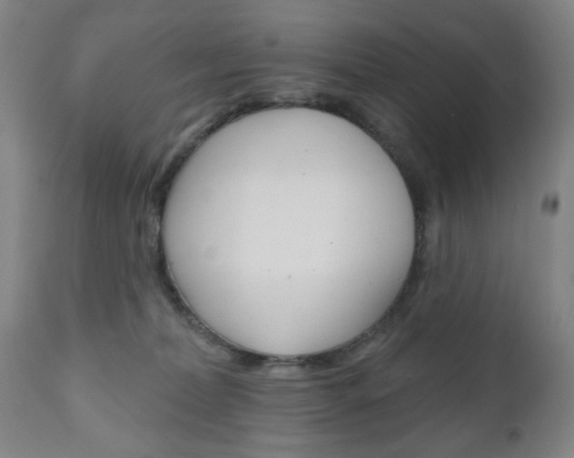 X0000111170228200907011016