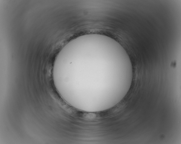 X0000111170230200907011016