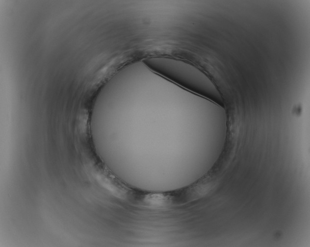 X0000111170231200907011016