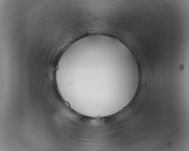 X0000111170232200907011016