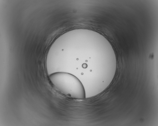 X0000111170233200907011016