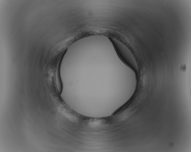 X0000111170235200907011016