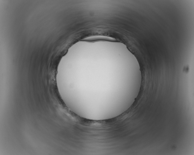 X0000111170236200907011016