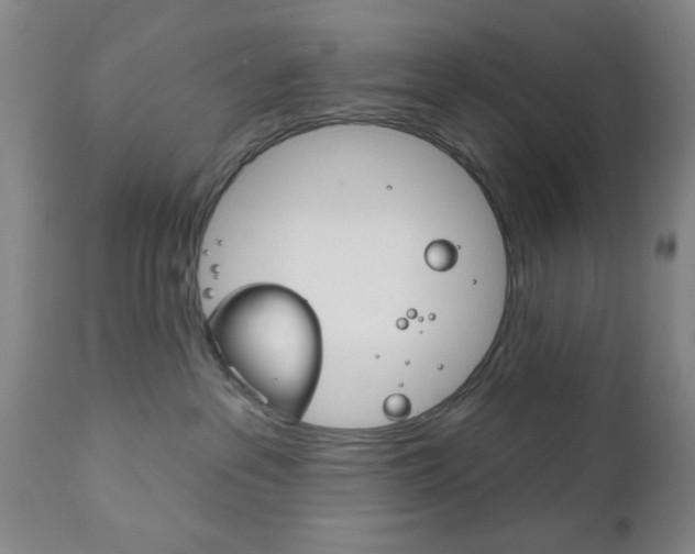 X0000111170237200907011016