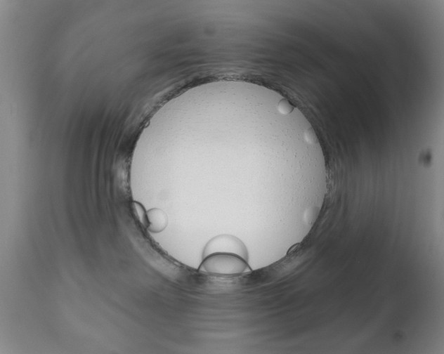 X0000111170238200907011016