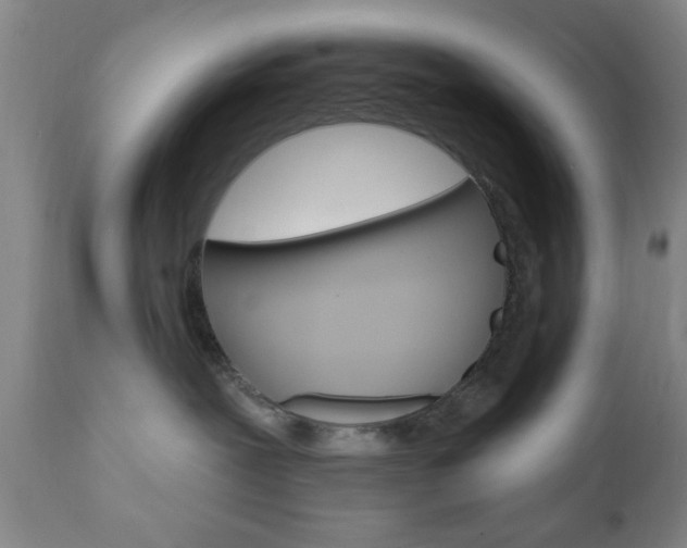 X0000111170239200907011016