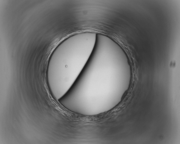 X0000111170241200907011015