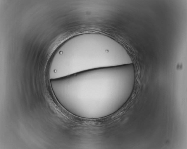 X0000111170242200907011015