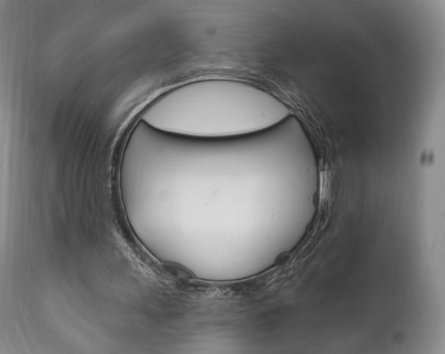 X0000111170243200907011015