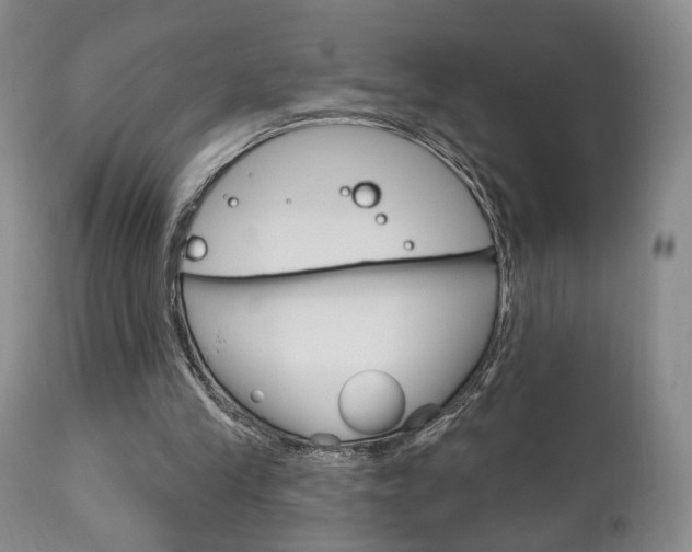 X0000111170245200907011015