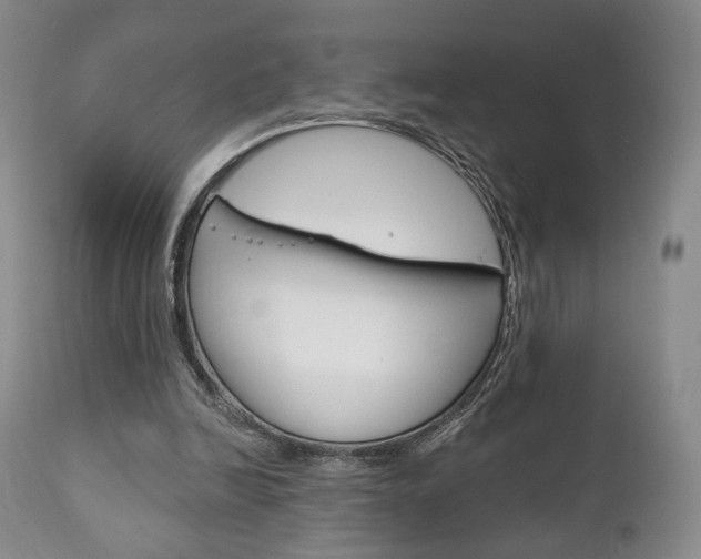 X0000111170246200907011015