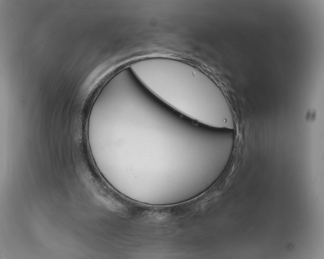 X0000111170247200907011015