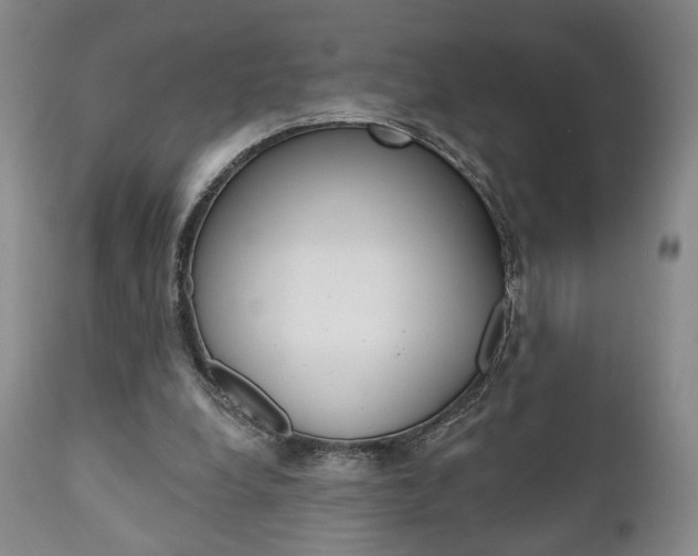 X0000111170248200907011015