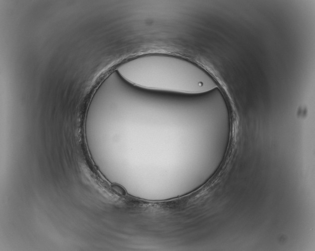 X0000111170249200907011015