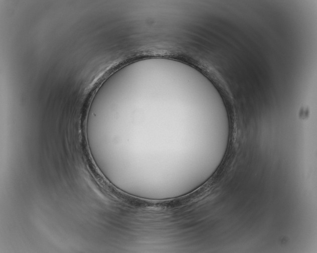 X0000111170251200907011015