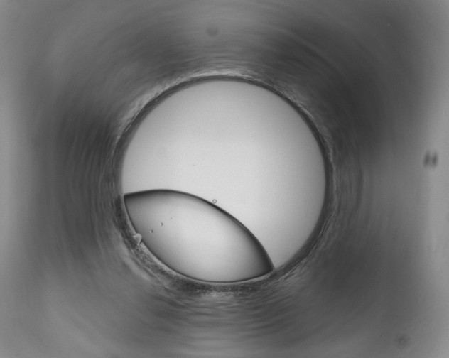 X0000111170252200907011015