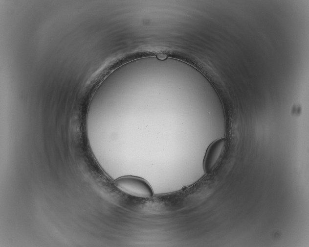 X0000111170256200907011015