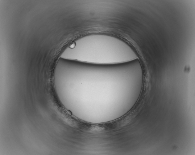 X0000111170257200907011015