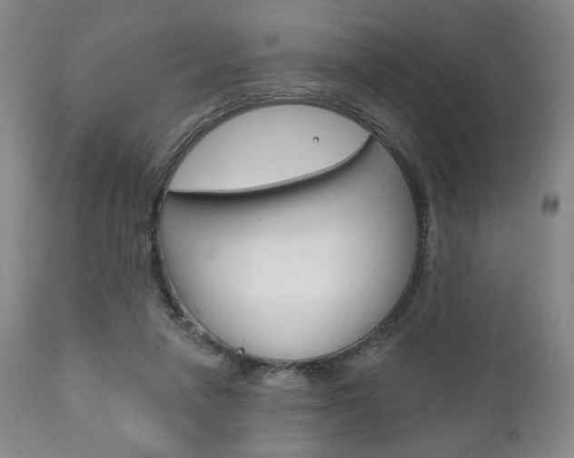 X0000111170258200907011015