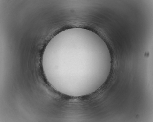 X0000111170259200907011015