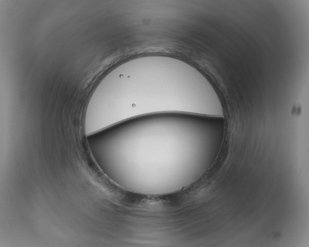 X0000111170260200907011015