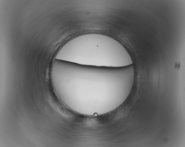 X0000111170262200907011015