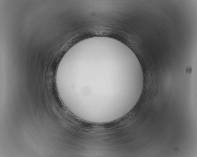 X0000111170263200907011015