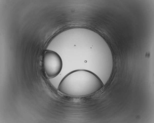 X0000111170264200907011015