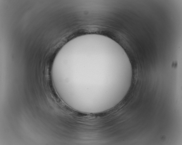 X0000111170267200907011015