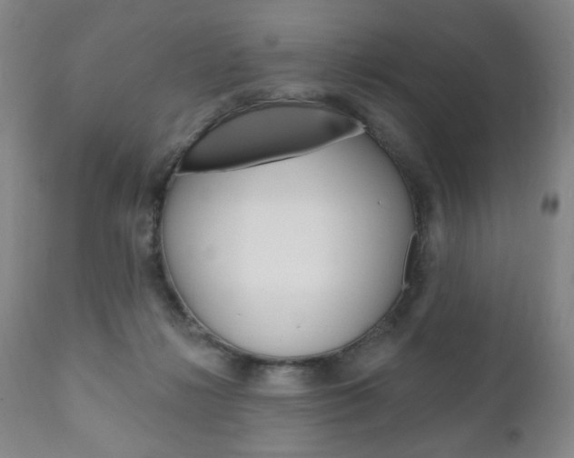 X0000111170268200907011015