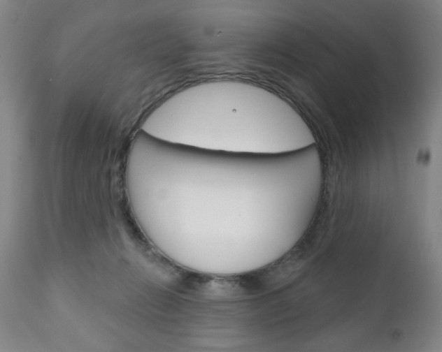 X0000111170270200907011015