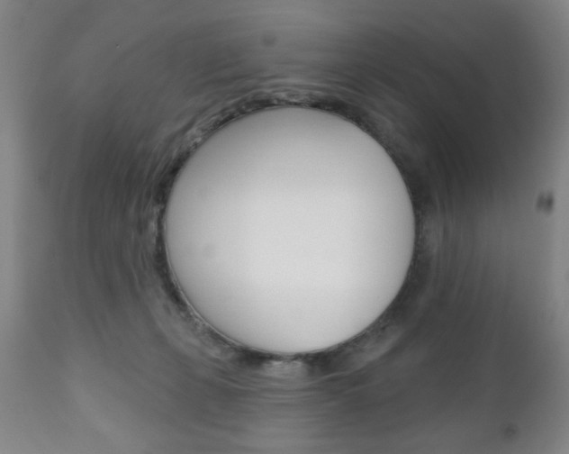 X0000111170271200907011015