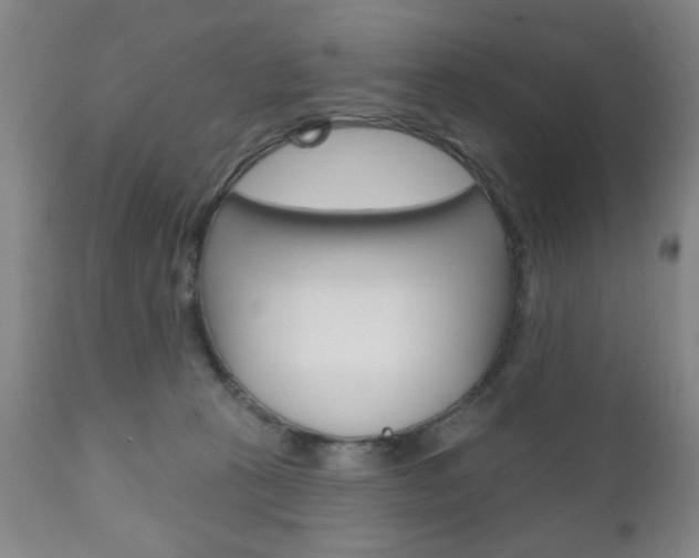 X0000111170273200907011015