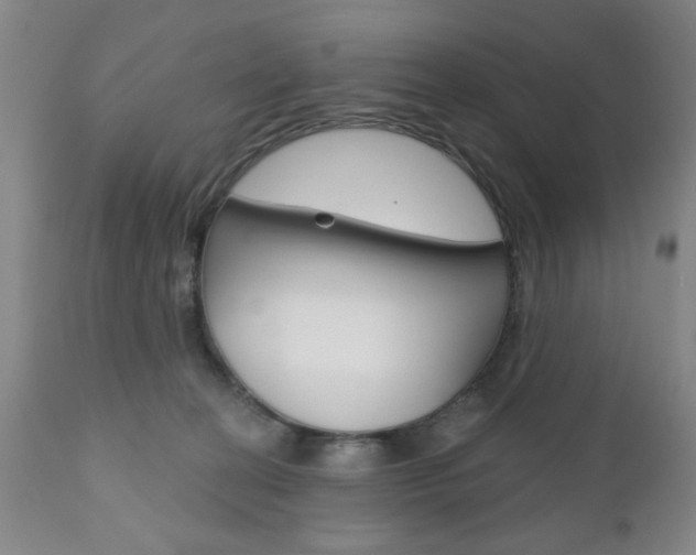 X0000111170274200907011015