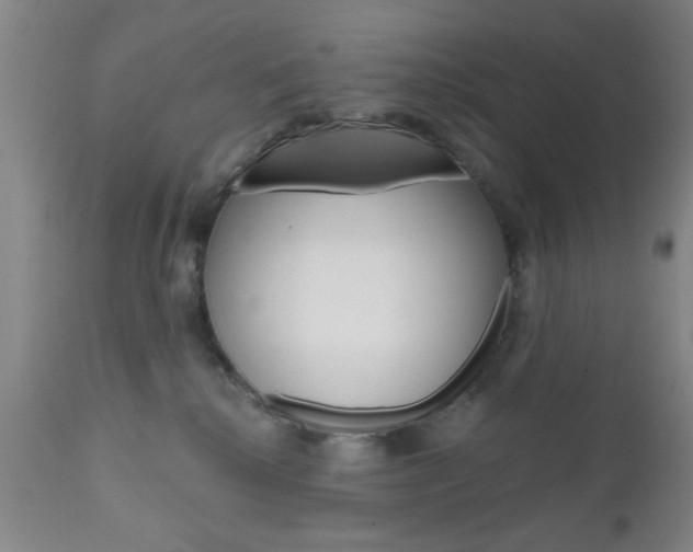 X0000111170280200907011015