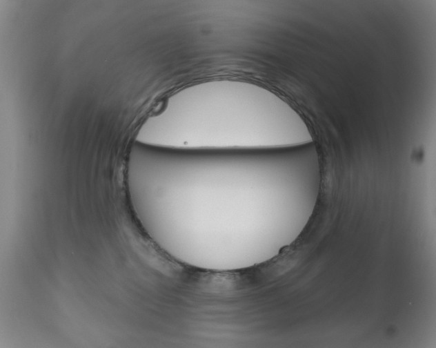 X0000111170282200907011015