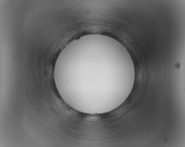 X0000111170283200907011015