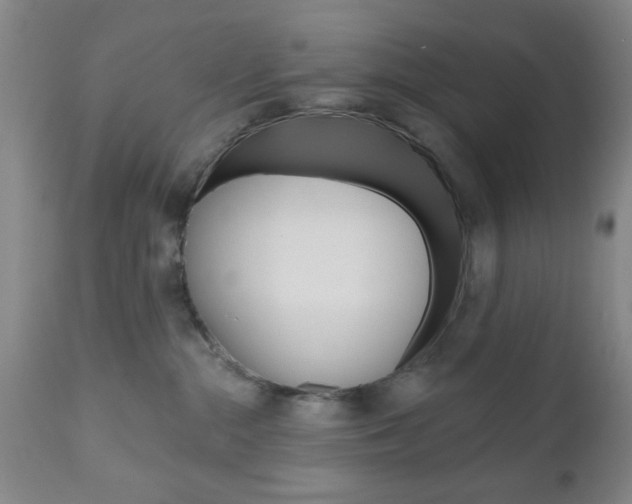 X0000111170284200907011015