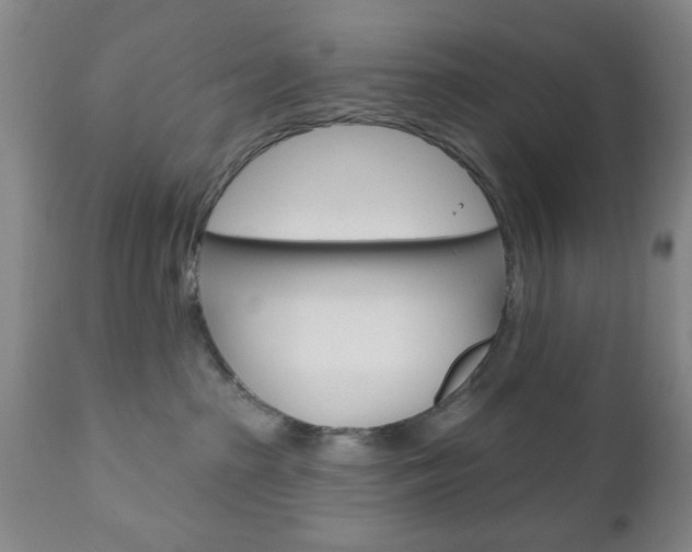 X0000111170285200907011015