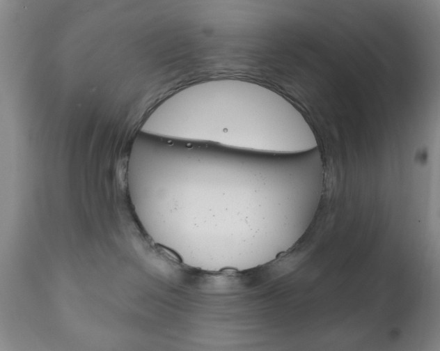 X0000111170286200907011015